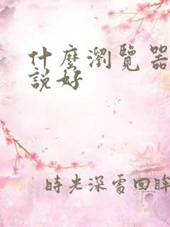 什么浏览器看小说好