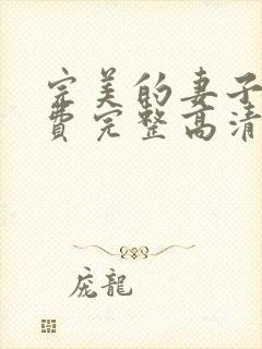 完美的妻子4免费完整高清电视剧在线看