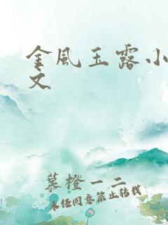 金风玉露小说全文