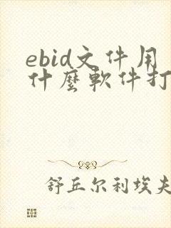 ebid文件用什么软件打开