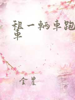 租一辆车跑网约车