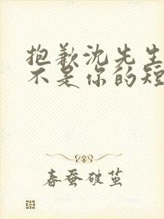 抱歉沈先生孩子不是你的短剧合集