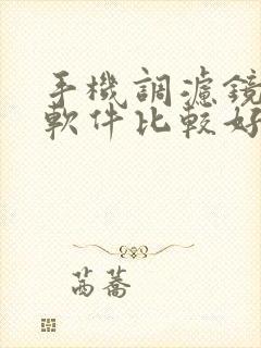 手机调滤镜什么软件比较好用