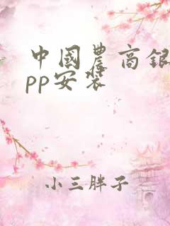 中国农商银行app安装