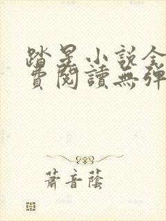 踏星小说全文免费阅读无弹窗