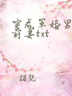 穿成军婚男主的前妻txt
