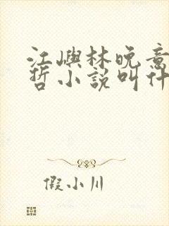 江屿林晚意沈修哲小说叫什么名字