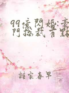 99亿闪婚:豪门总裁有点甜