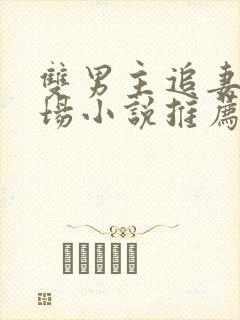 双男主追妻火葬场小说推荐