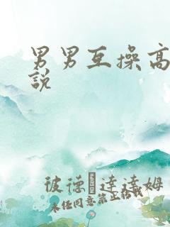 男男互操高h小说