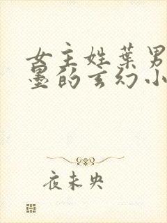 女主姓叶男主姓墨的玄幻小说