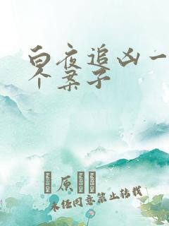 白夜追凶一共几个案子