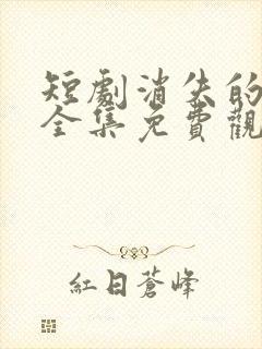 短剧消失的厨神全集免费观看高清