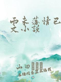 雨未落情已断全文小说