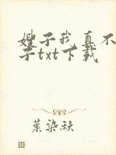 嫂子我真不是傻子txt下载
