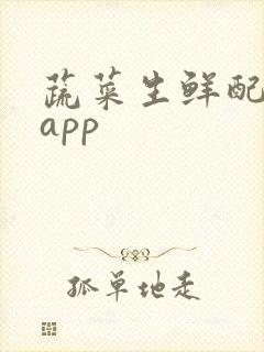 蔬菜生鲜配送的app