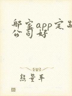 哪家app定制公司好