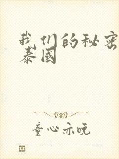 我们的秘密小说泰国