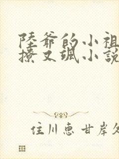 陆爷的小祖宗又撩又飒小说