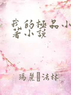 我的极品小姨原著小说