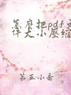 怎么把pdf文件大小压缩小一点