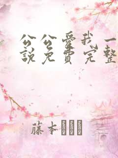 公公爱我一次小说免费完整版阅读
