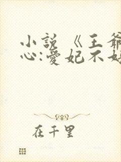 小说 《王爷当心:爱妃不好惹》