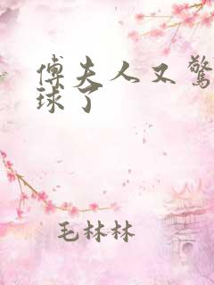 傅夫人又惊艳全球了