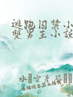 逃跑囚禁小少爷双男主小说推荐