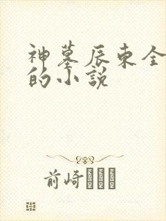 神墓辰东全免费的小说