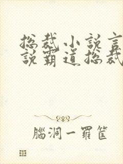 总裁小说言情小说霸道总裁爱上我