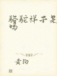 骆驼祥子是小说吗