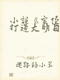 小说《家侄崇祯打造大明日不落》