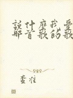 说什么我爱你是哪首歌的歌词