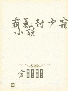 霸气封少宠妻忙 小说