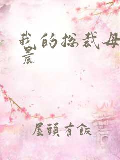 我的总裁母亲萧晨