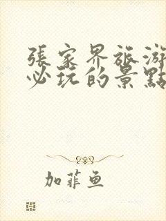 张家界旅游攻略必玩的景点推荐