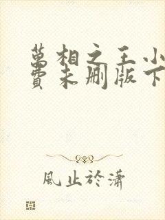 万相之王小说免费未删版下载