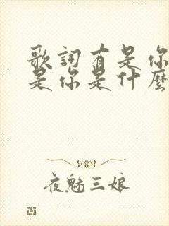 歌词有是你是你是你是什么歌