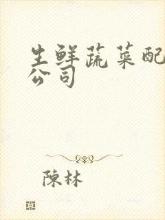 生鲜蔬菜配送的公司