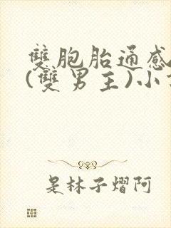 双胞胎通感夹心(双男主)小说