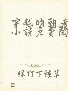 穿越明朝考科举小说免费阅读全文