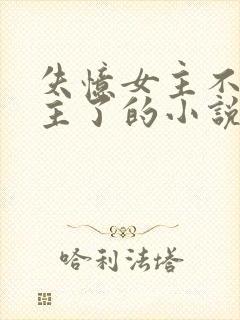 失忆女主不爱男主了的小说