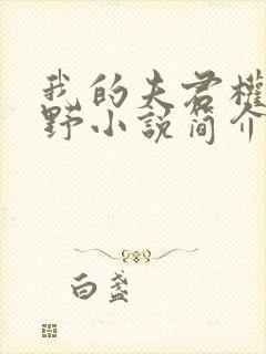 我的夫君权倾朝野小说简介