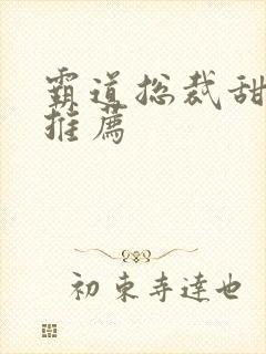 霸道总裁甜宠文推荐