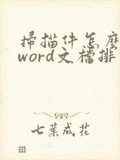 扫描件怎么做成word文档排序好