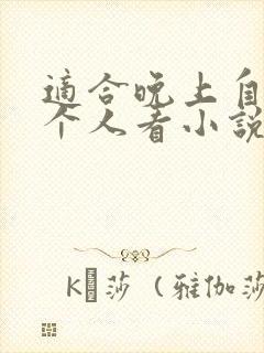 适合晚上自己一个人看小说