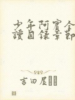 少年阿宾全文阅读目录章节小说