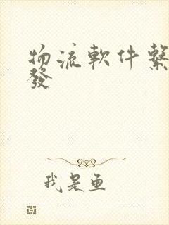 物流软件系统开发