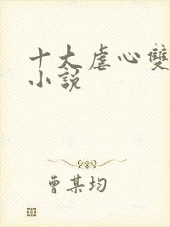 十大虐心双男主小说